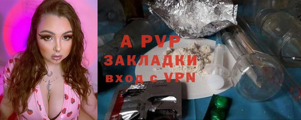 ПСИЛОЦИБИНОВЫЕ ГРИБЫ Вяземский