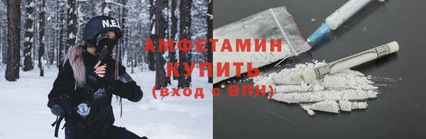 ПСИЛОЦИБИНОВЫЕ ГРИБЫ Вяземский