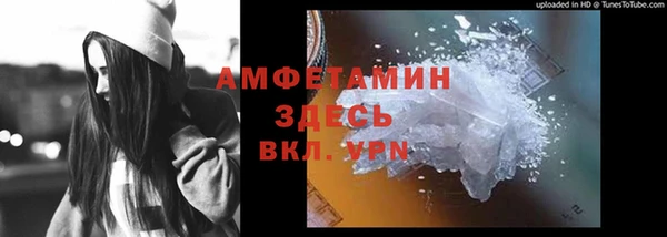 шишки Горняк