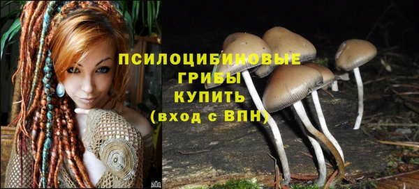круглые Вязьма