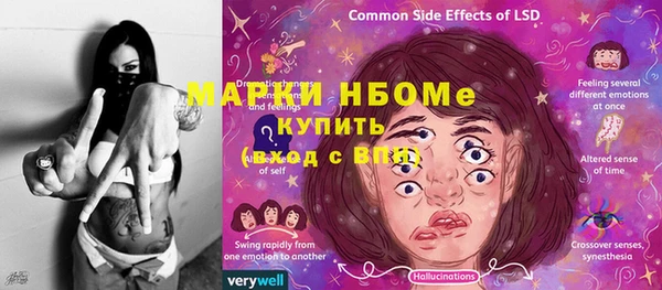 ПСИЛОЦИБИНОВЫЕ ГРИБЫ Вяземский