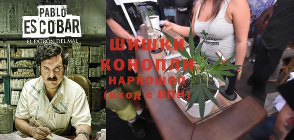 круглые Вязьма