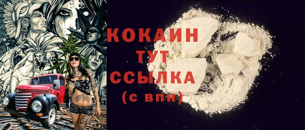 шишки Горняк