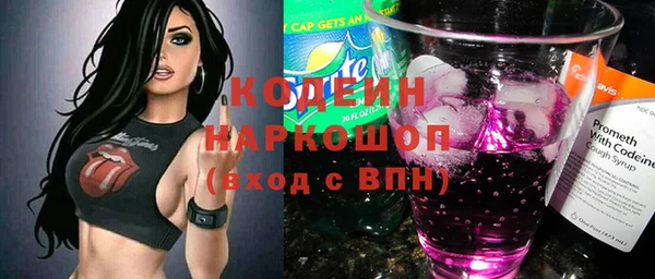 ПСИЛОЦИБИНОВЫЕ ГРИБЫ Вяземский