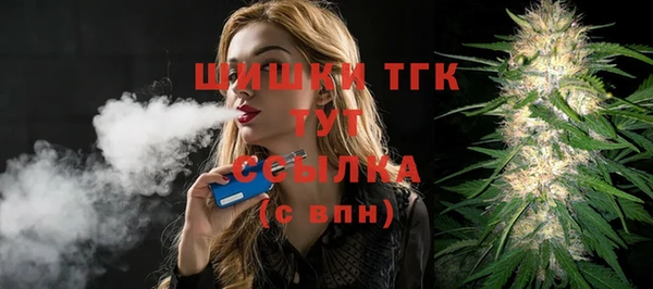ПСИЛОЦИБИНОВЫЕ ГРИБЫ Вяземский