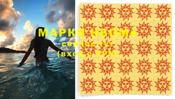ПСИЛОЦИБИНОВЫЕ ГРИБЫ Вяземский