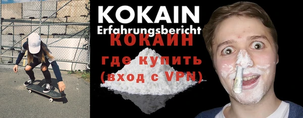 ПСИЛОЦИБИНОВЫЕ ГРИБЫ Вяземский