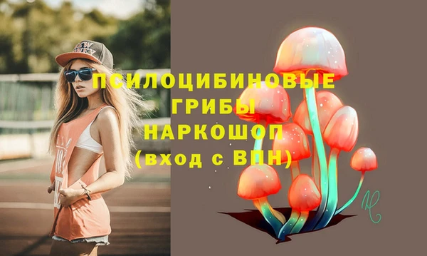 ПСИЛОЦИБИНОВЫЕ ГРИБЫ Вяземский